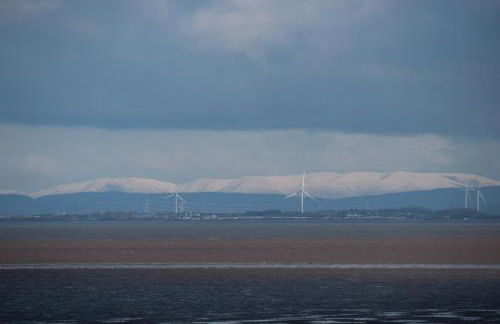 Dolphin House - Foto 8