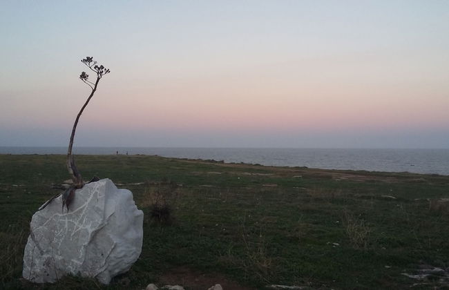 La casa di Aneupe - Foto 43