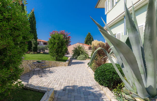 Salamander - Foto 52