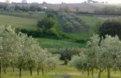 Agriturismo bio Verde Armonia - Photo 49