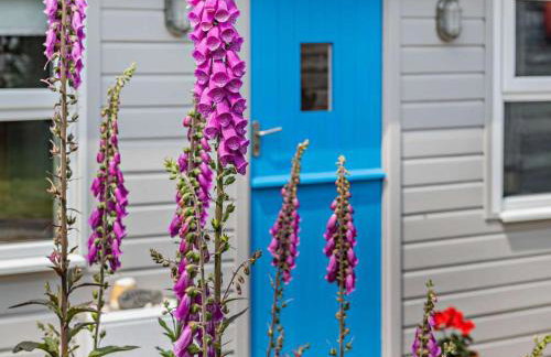 1 Bed in Torpoint oc-37261 - Photo 21