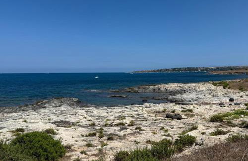 Oasi di Brucoli - Foto 26