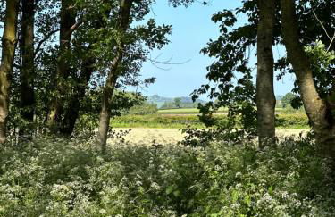 The Calf Cotts - Foto 14