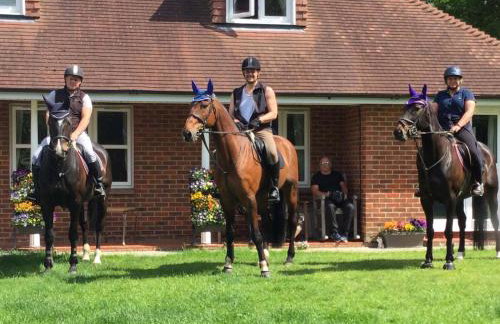 Mews Hill, 5 bedroom New Forest Holiday Cottage - Foto 40