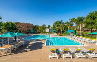 Huge Oceanside Private 2BR Apartment-Pool-Gym-Spa - Photo 18