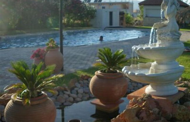 Villa Rita Apartments - Photo 26