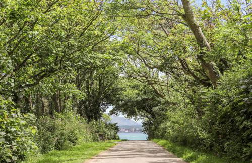 Tal Gwynedd - Foto 51