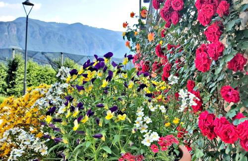 Versigglhof - Foto 54