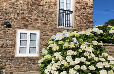 VUT Boente 2 - Foto 1