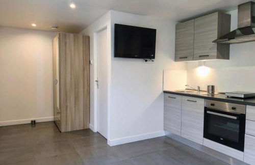 Studio Occitanie 20 m2 tout équipé avec jardin - Photo 5