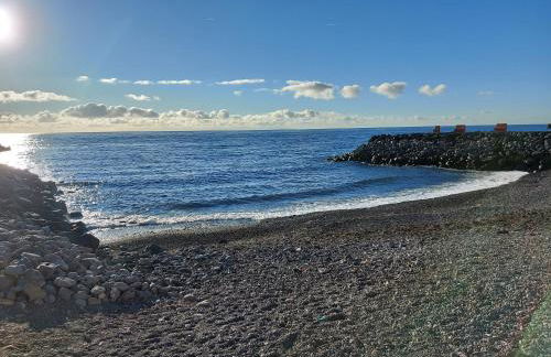 ESTUDIO LA ESTRELLA - Foto 17