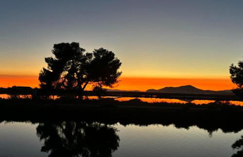Les Flamants Roses La Capte T2 4 personnes 200m de la plage - Foto 7