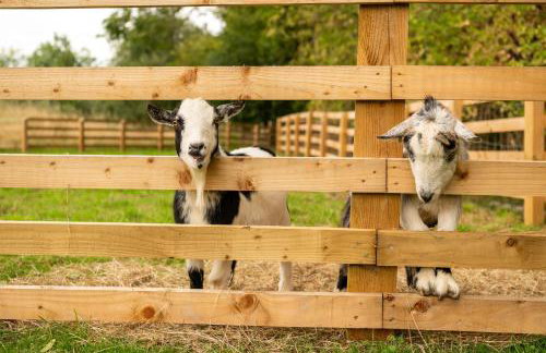 Family Cotswolds Cottage Farm Stay - The Smythy - Foto 58