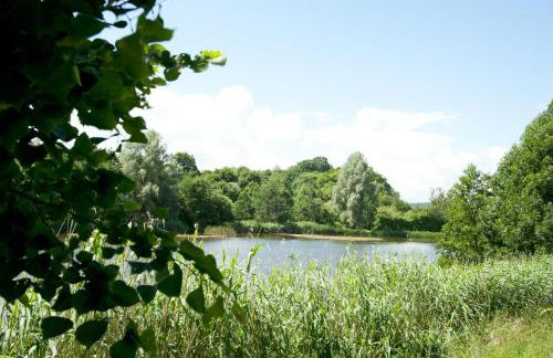 Eifel Relax - Foto 19