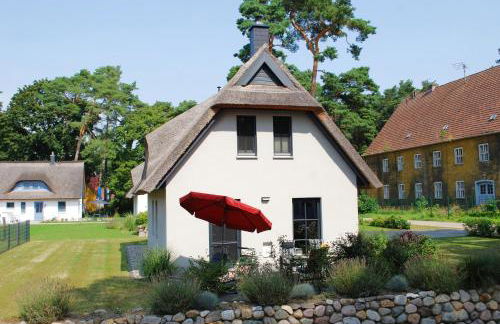 Zweite Heimat - Foto 1