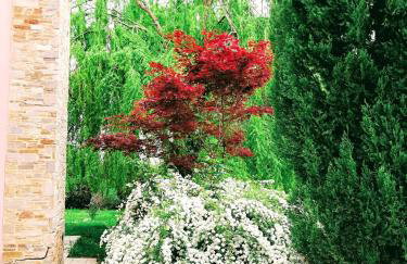 Villa Gaia Trikala - Foto 12