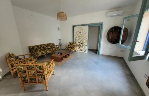 Donna Cecilia - Foto 11