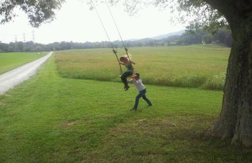 Little River Guest House at Tennessee RiverPlace - Foto 46