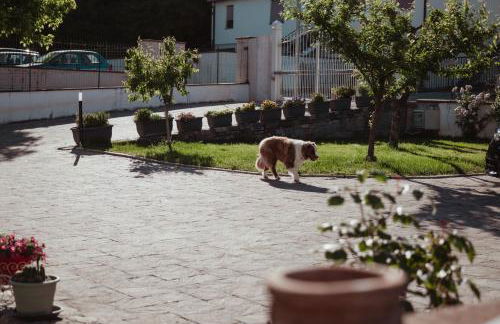 Cetinale Apartments - Foto 67