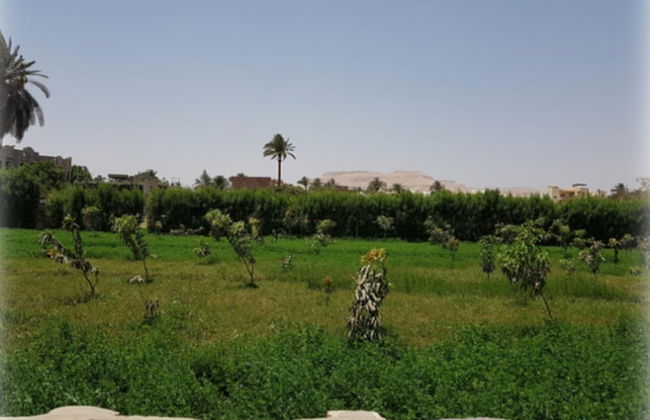 Harmony Villas Sleeps 4 With Garden - Foto 10