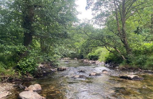 Bronfelin & Troed-y-rhiw Holiday Cottages - Foto 50