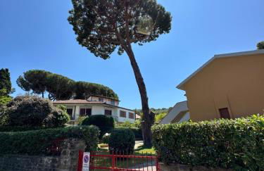 Appartamenti Portiglioni-Cipressi - Photo 58