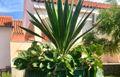 Schöne Ferienwohnung mit Terrasse, Roses - Photo 37