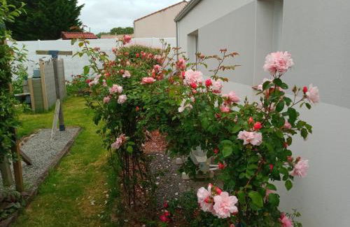 perle rare à énergie positive - Photo 18