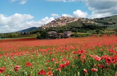 La Casetta - Photo 13