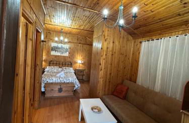 Apartamentos LA CASONA DE JARAIZ - Foto 21