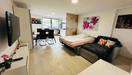 Moderne FerienWohnung NeuBau Merzig - Foto 2