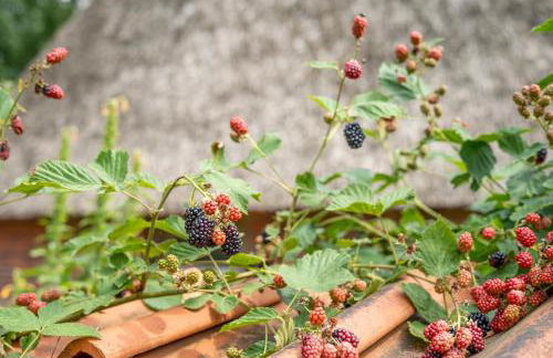 Heidehof Oberhaverbeck - Foto 37