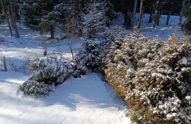 Strażnica Pod Lasem - Foto 67
