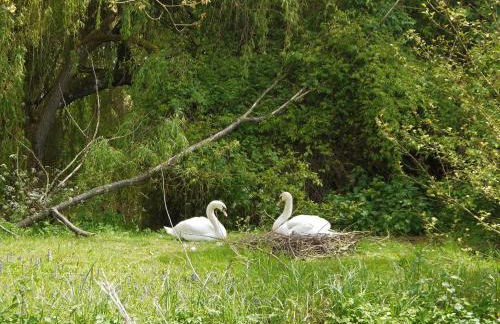 Bookers - Ukc1148 - Foto 21