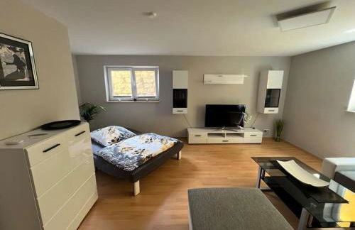 Großzügige Ferienwohnung im Oberland - Foto 2