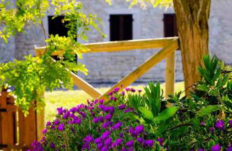 Castello di Titignano - Foto 66