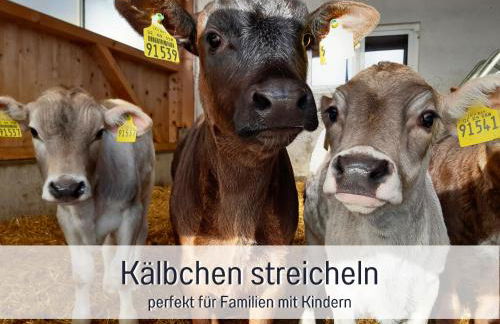 Bauernhof Finkel - Ferienwohnungen mit Balkon - Bergsicht - Traktor mitfahren - Tiere streicheln - entspannter Familienurlaub - zentrale Lage nahe Oberstdorf - Photo 27