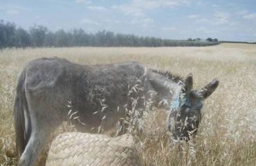 Casa de Madera del Turullote - Photo 25