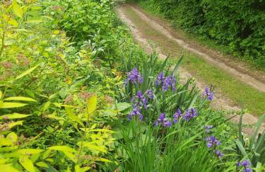 Leśne Zacisze Kretowiny 88 nad jeziorem Narie z własnymi pomostami apartamenty sezonowe lato - Foto 2