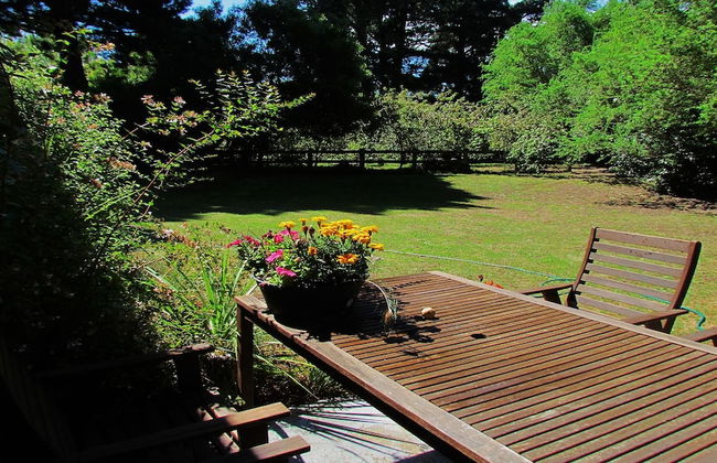 Christchurch City & Country Cottages - Nut Point Cottage - Foto 29