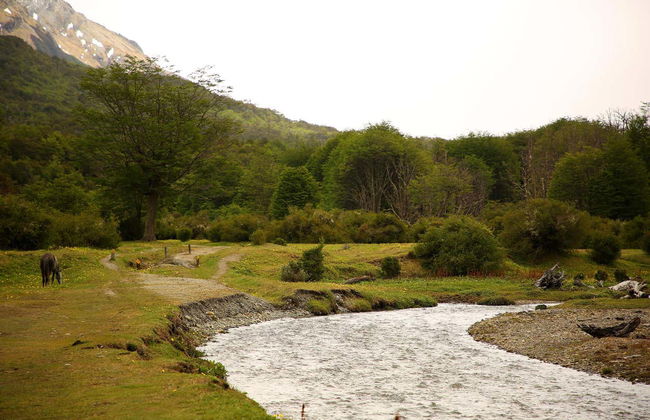 Offroading Trip to Tierra del Fuego - Photo 4