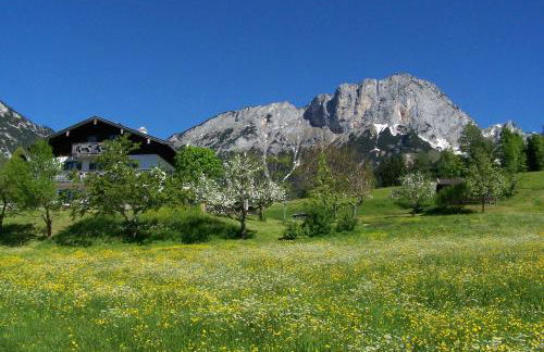 Bauernhof Vorderstiedler - Foto 3