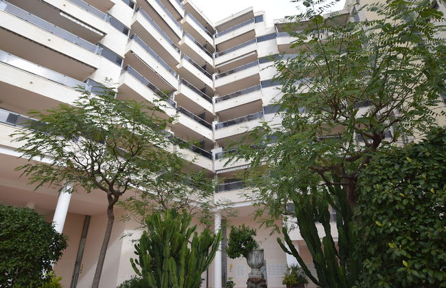 Plaza Mayor - Foto 16