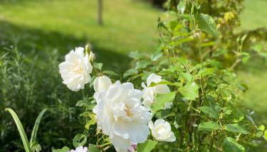 Monolocale COCO74 - Foto 2