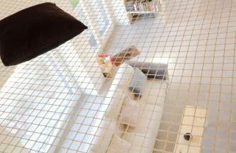 Milo Agriproduction - Foto 9