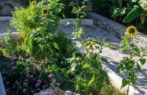 Istron Avra - Foto 64