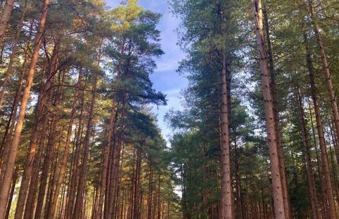 Manor House Mews - Rustic Stable Conversion - Foto 20