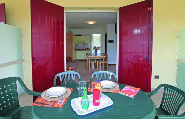 Calycanthus - Foto 30