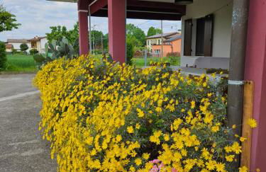 Casa Loretta - Foto 27