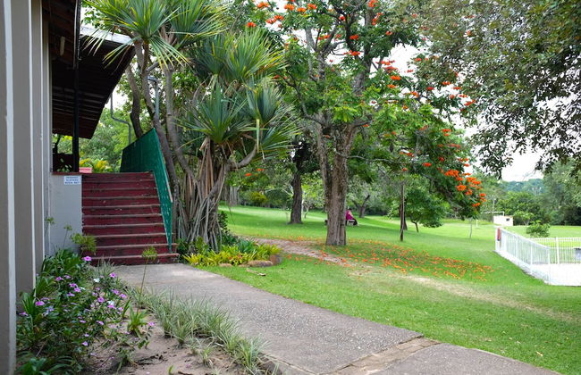 Near2Numbi - Foto 65